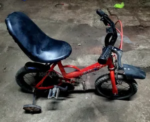 Modified Kids' Bicycle