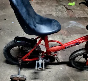 Modified Kids' Bicycle