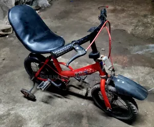 Modified Kids' Bicycle