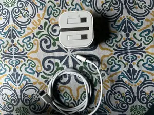 20w Apple Adapter With Cable