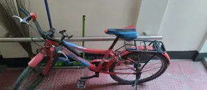 Excellent Bicycle, Only Carrier Needs Repair