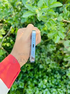 Apple iPhone 13 Pro 256 GB Blue