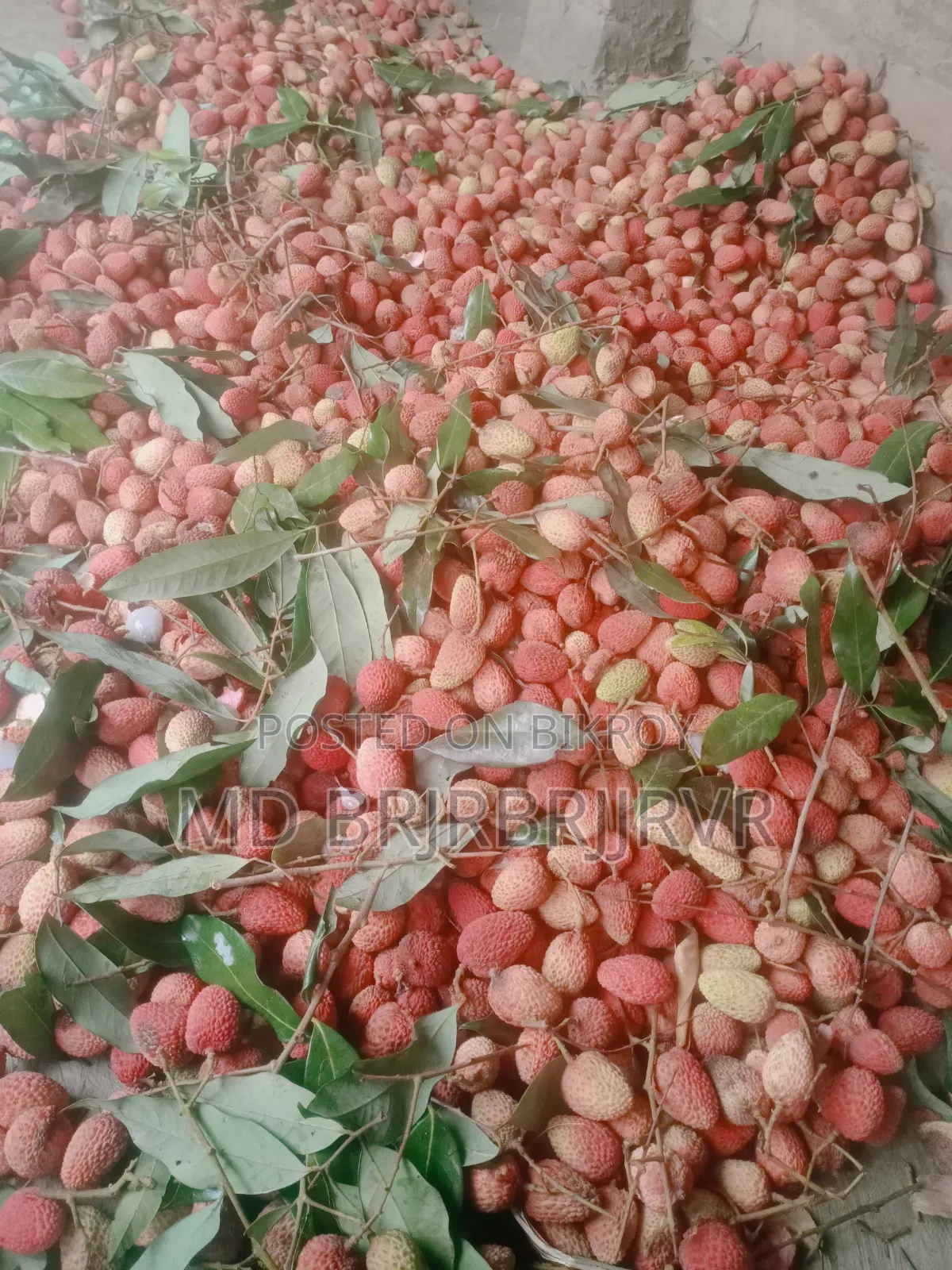 Delicious Bombay Litchi