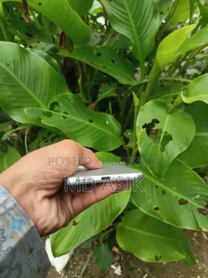 Infinix Hot 60 Pro+ 128 GB White
