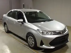 Toyota Axio 2021 Silver