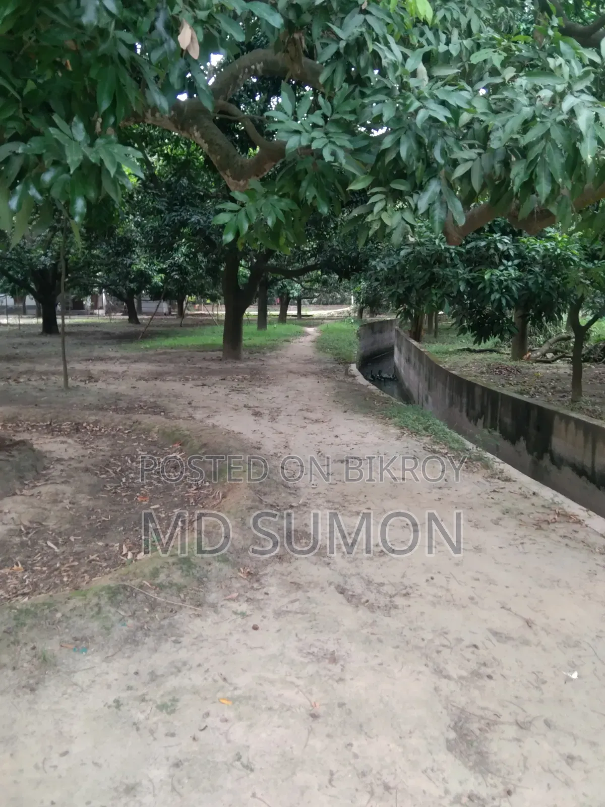 Land for Sale
