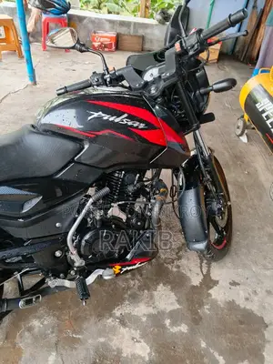 Bajaj Pulsar 150 2023 Black