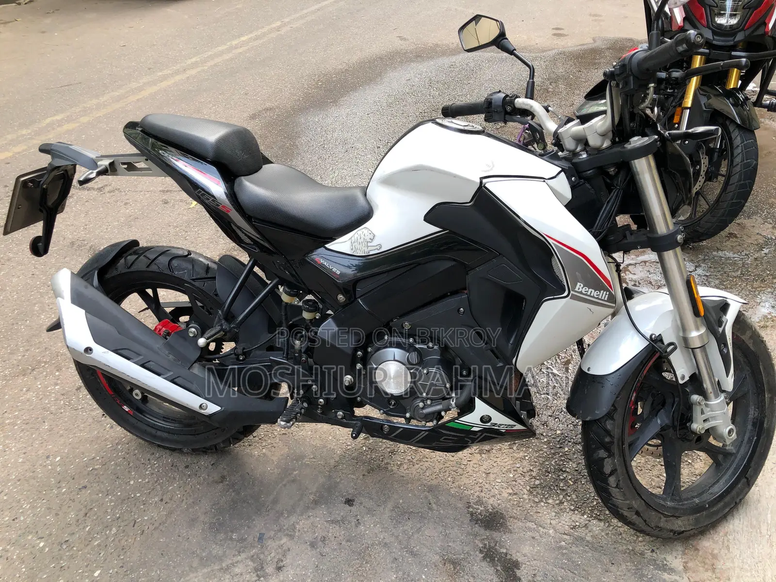 Benelli 2019 White
