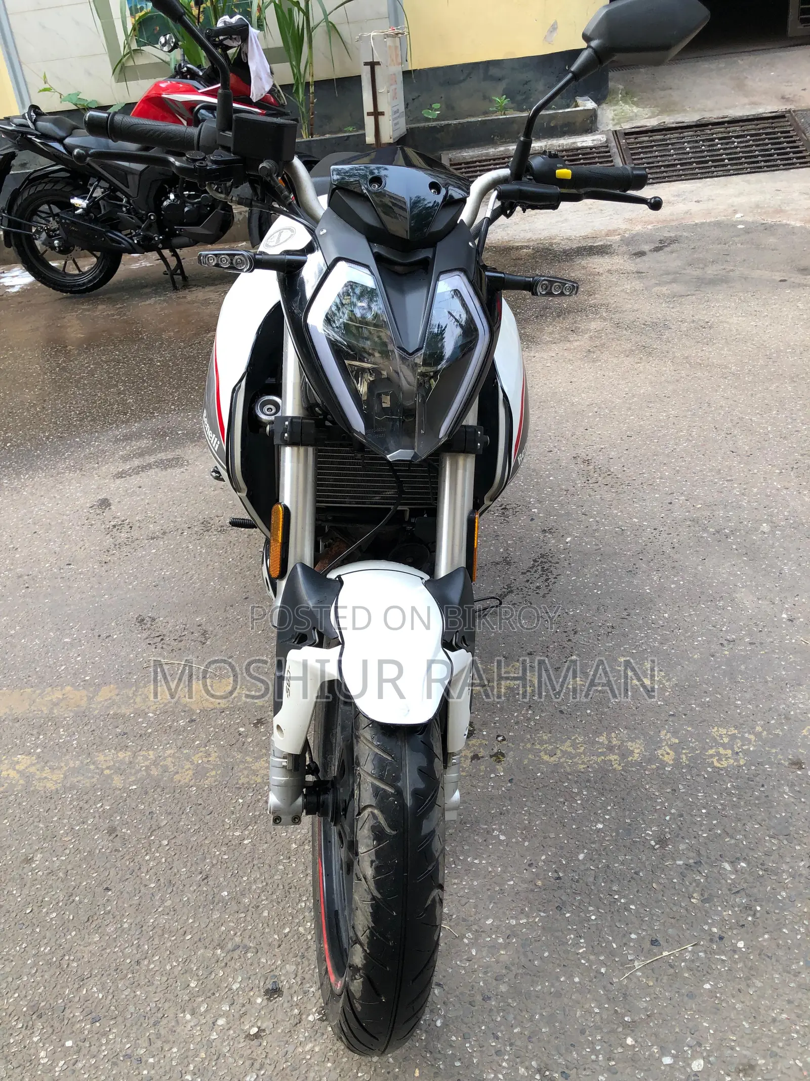 Benelli 2019 White