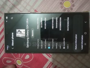 Samsung Galaxy S24 Ultra 256 GB Gray