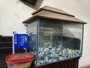 Complete Aquarium Set
