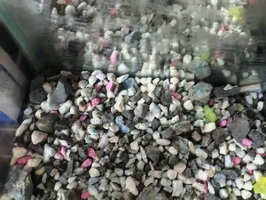 Complete Aquarium Set