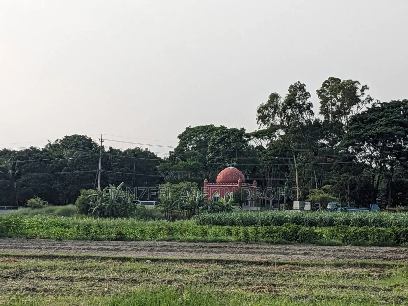 Sirajdikhan, Munshiganj; 322 decimal ancestral land for sale in 5 deeds!