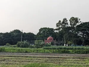 Sirajdikhan, Munshiganj; 322 decimal ancestral land for sale in 5 deeds!