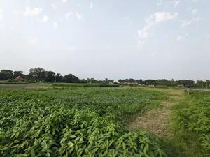 Sirajdikhan, Munshiganj; 322 decimal ancestral land for sale in 5 deeds!