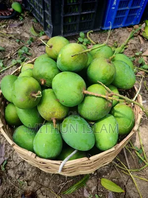 Satkhira's famous sweet Himsagar mango!