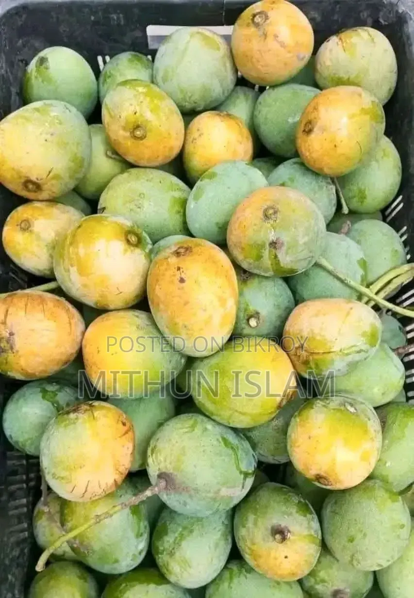 Satkhira's famous sweet Himsagar mango!