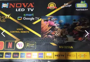 Google Smart TV