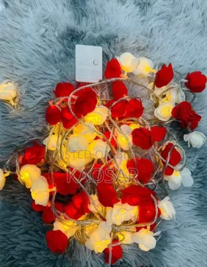 Rose Flower Fairy String Light – LED Warm Decorative Room Light
