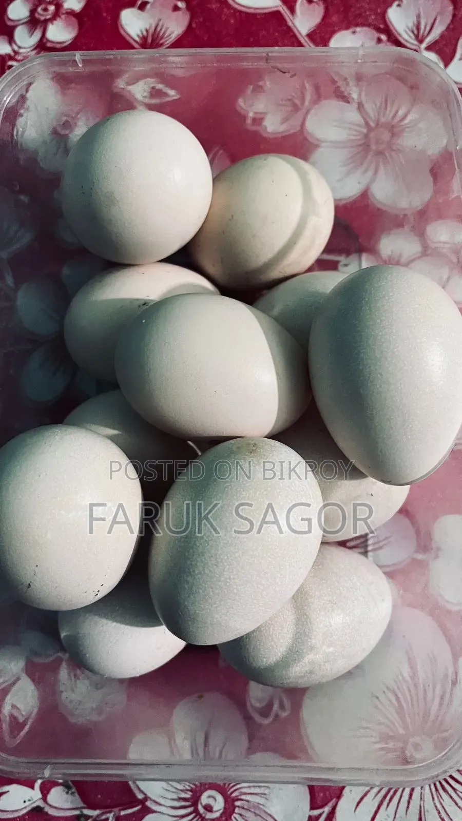 Asil Breed Eggs