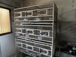 ৯ তলা + ৮ তলা খাঁচা
