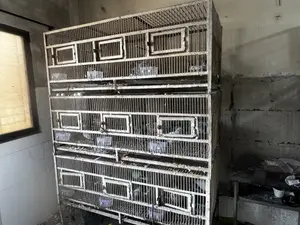 ৯ তলা + ৮ তলা খাঁচা