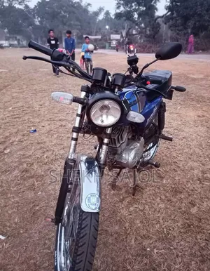 Suzuki 1996 Blue