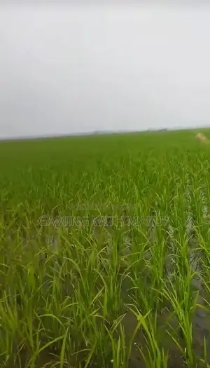 জমি বিক্রয়