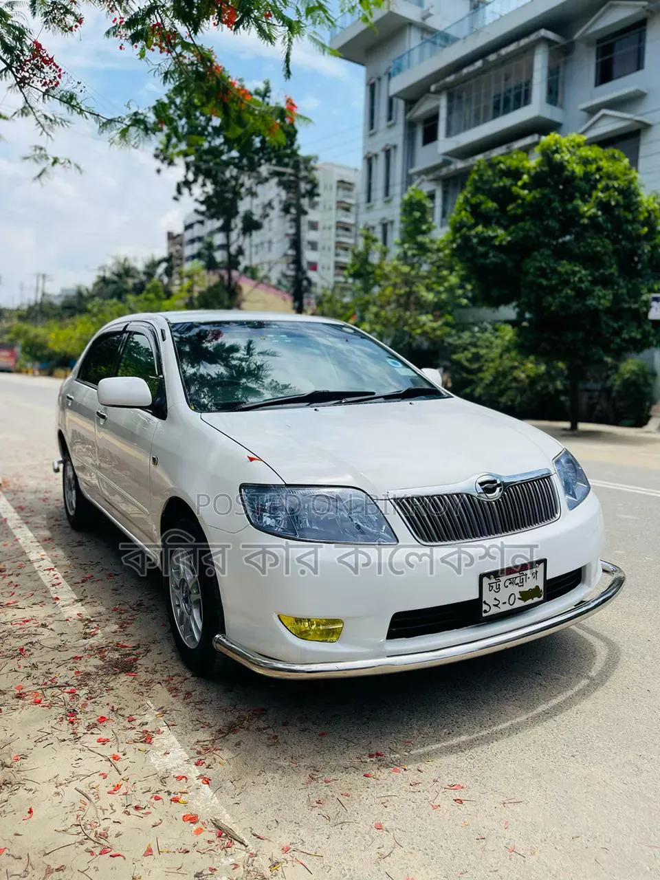 Toyota Corolla 2005 White
