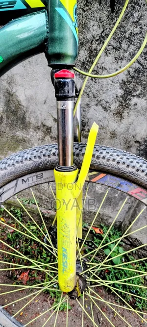 কিসেল সাইকেল