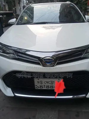 Toyota Corolla Fielder 2018 Pearl