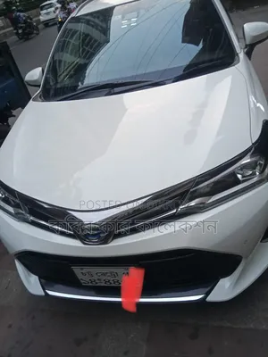 Toyota Corolla Fielder 2018 Pearl
