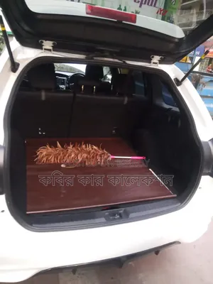 Toyota Corolla Fielder 2018 Pearl