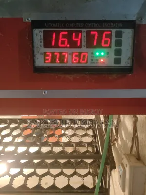 ইনকিউবেটর