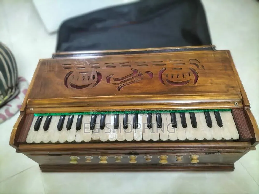Harmonium and Tabla