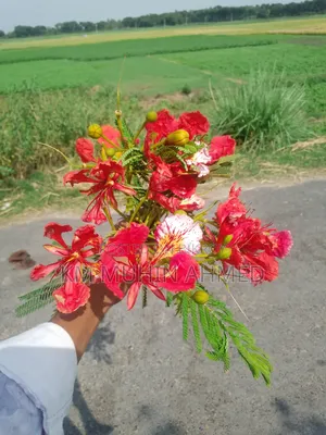 Apple iPhone 7 32 GB Black