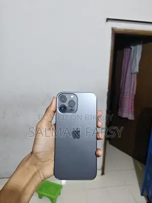 Apple iPhone 13 Pro Max 256 GB Gray