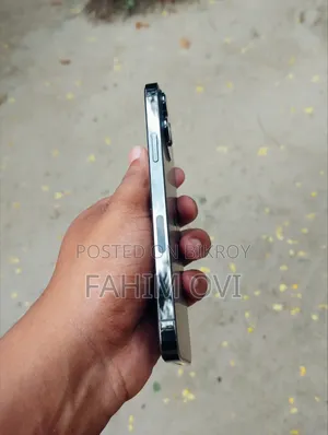 Apple iPhone 13 Pro Max 256 GB White