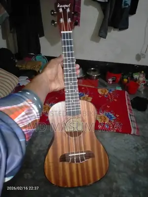 Kasper 24"