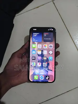 Apple iPhone 13 Pro Max 256 GB Gray