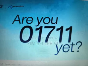 01711 Gp VIP Sim Card