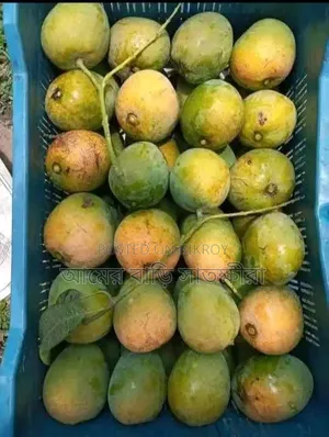 সাতক্ষীরার হিমসাগর গাছ পাকা আম