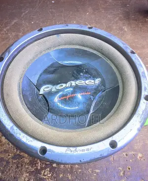 Pioneer Original Speaker 12" Ts-W308d2