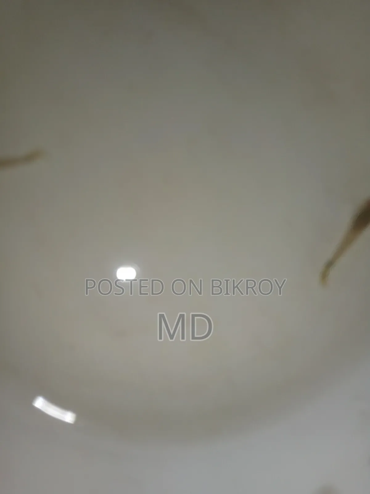 গাপ্পির বাচ্চা ২০টাকা জোড়া