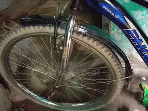A High-Quality Bicycle at a Low Price