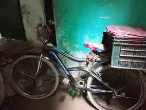 A High-Quality Bicycle at a Low Price
