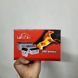 ইউপিএস ১২ ভোল্ট ব্যাটারি