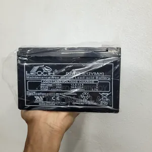 ইউপিএস ১২ ভোল্ট ব্যাটারি