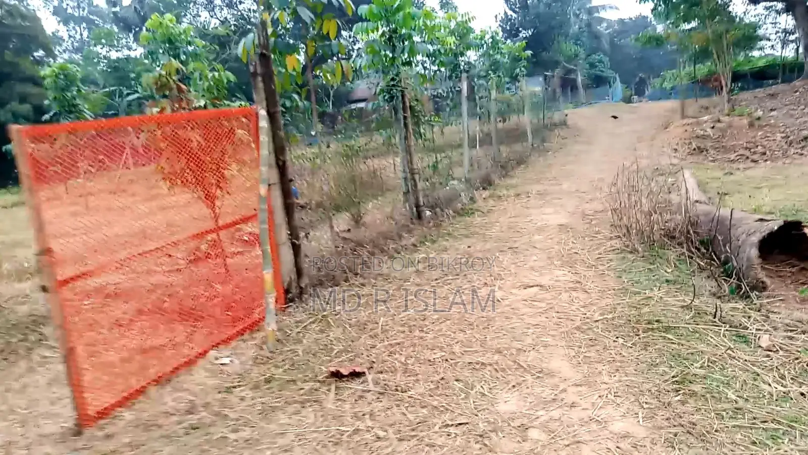 ৯০ শতাংশ বাগানবাড়ি ৫০০ দেশি বিদেশি ফল গাছসহ