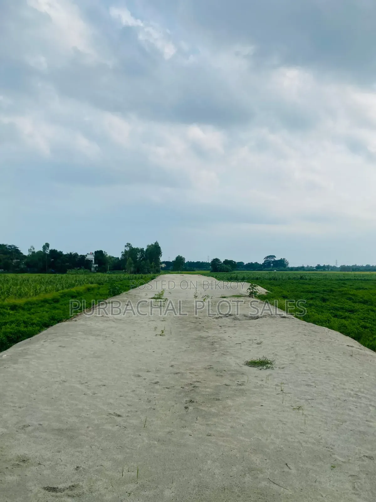 Dream Plot on a Budget: Buy Land at an Attractive Price in Birtara City.
